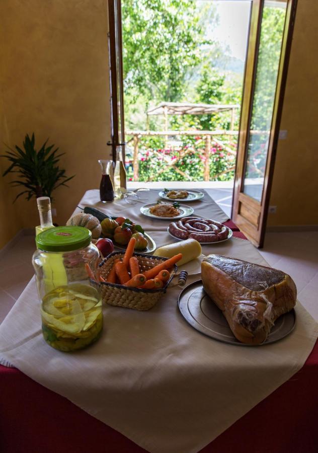 Haidi House Bed & Breakfast Agerola Dış mekan fotoğraf